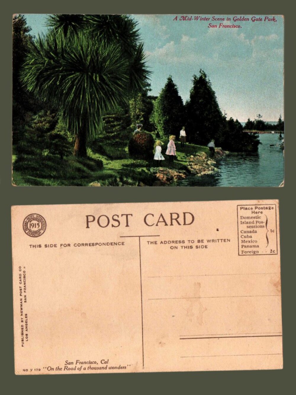 10/$25 Vintage Blank California Golden Gate Park Postcard “A Mid Winter Scene"